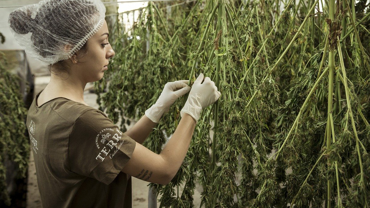 Dubbed "Mood Ring™